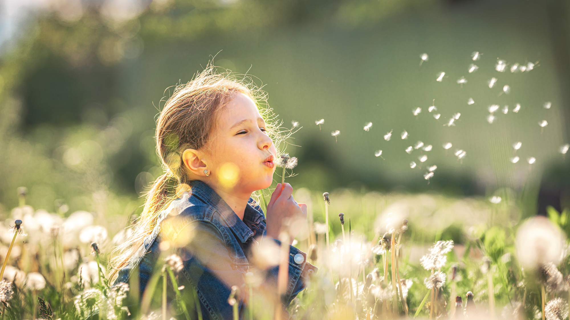 Kind mit Pusteblume in der Natur, Kieferorthopädie an der Parkinsel, Ludwigshafen